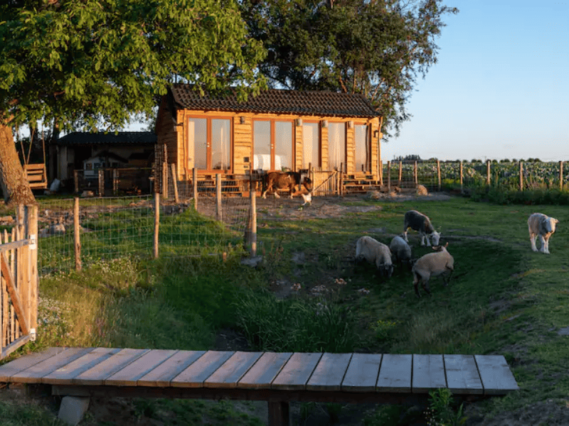 Diervriendelijk vakantiehuis West-Vlaanderen