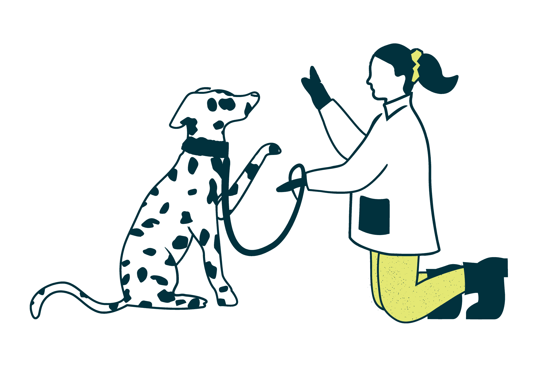 Figo illustrationBank Compiled 05