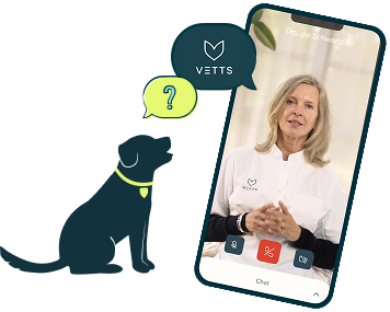 Imag dog and phone VETTS