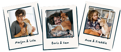 Social proof omages customers