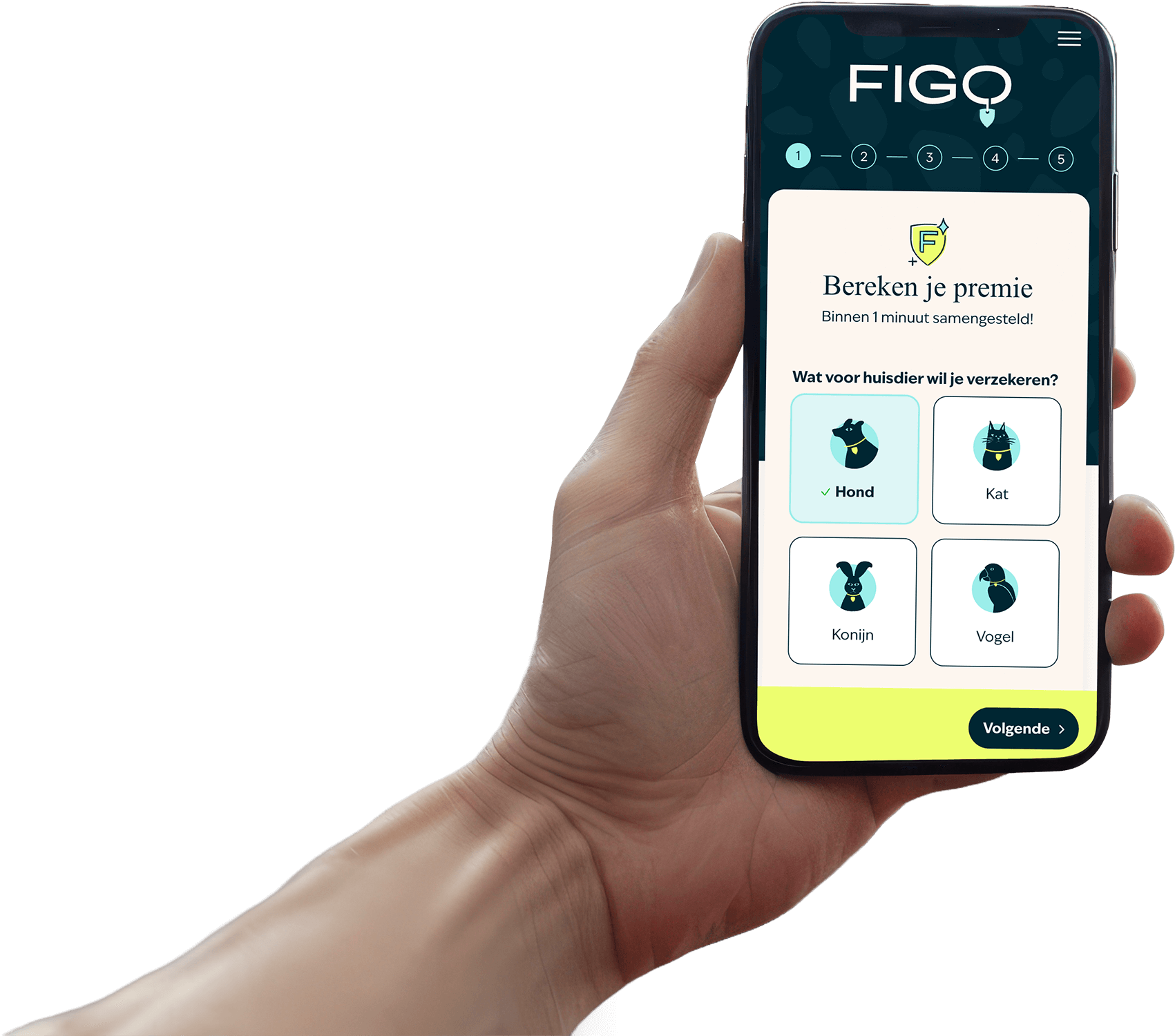Figopet iPhone AVS Widget Foreground Desktop