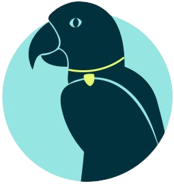 figo parrot ico 1 removebg preview 2